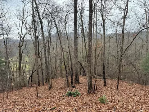 0 Flaming Rdg, Hayesville, NC 28904
