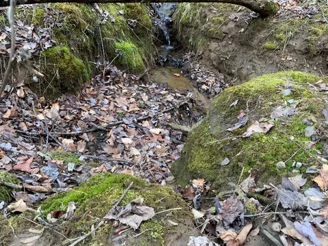 lot2 Ivy Log Rd, Murphy, NC 28906 photo 12