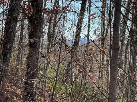 lot S Ash Branch Vw, Hayesville, NC 28904