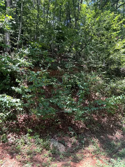 0 Skyview Acres Dr, Murphy, NC 28906 photo 2