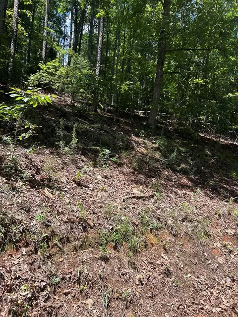 0 Skyview Acres Dr, Murphy, NC 28906 photo 3