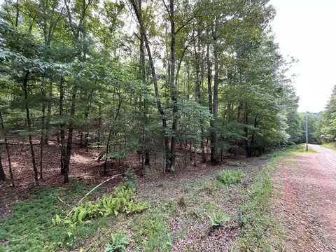 0 Sheep Knob, Murphy, NC 28906 photo 9