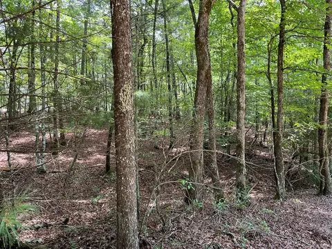 0 Sheep Knob, Murphy, NC 28906 photo 12