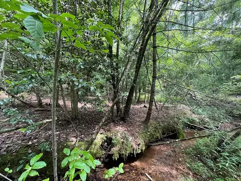 0 Sheep Knob, Murphy, NC 28906 photo 13