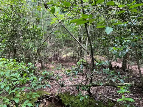 0 Sheep Knob, Murphy, NC 28906 photo 14