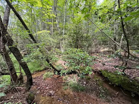 0 Sheep Knob, Murphy, NC 28906 photo 2