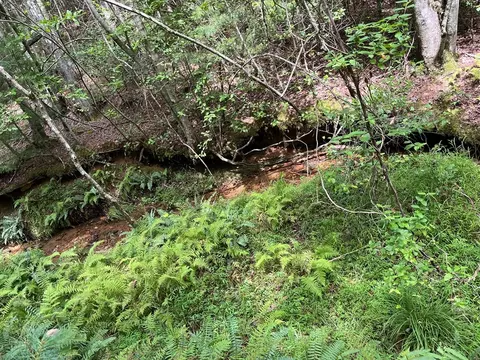 0 Sheep Knob, Murphy, NC 28906 photo 16