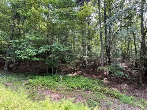 0 Sheep Knob, Murphy, NC 28906 photo 6
