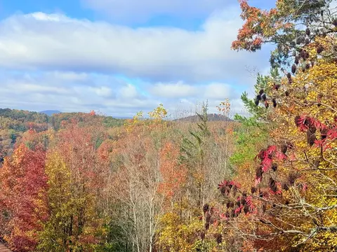 12 Cardinal Rd # -4, Murphy, NC 28906