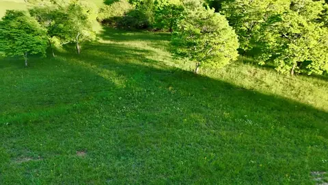 lot8 Red Silo, Murphy, NC 28906 photo 12