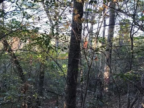 19 E Braves Lndg # D, Murphy, NC 28906 photo 4