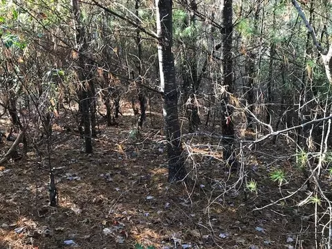 19 E Braves Lndg # D, Murphy, NC 28906 photo 5