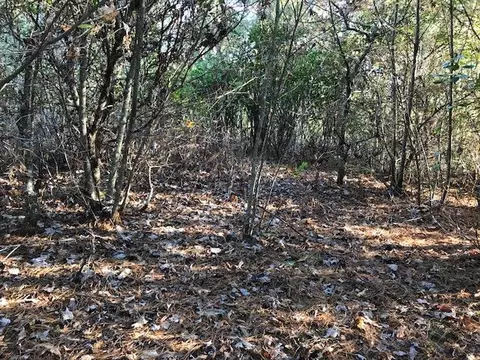 19 E Braves Lndg # D, Murphy, NC 28906 photo 3