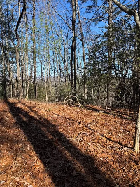 lot61 Thundering Hl, Murphy, NC 28906 photo 2