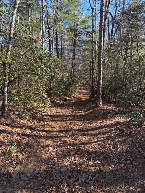 lot61 Thundering Hl, Murphy, NC 28906