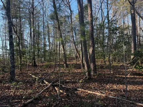 Undisclosed, Warne, NC 28909 photo 9