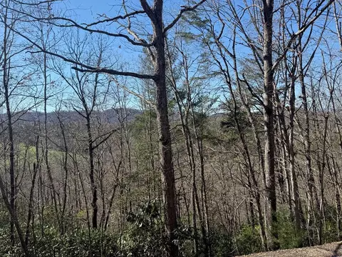 Undisclosed, Warne, NC 28909 photo 3