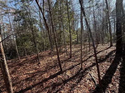 Undisclosed, Warne, NC 28909 photo 12