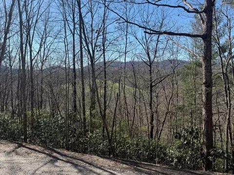Undisclosed, Warne, NC 28909 photo 2
