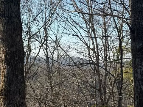 Undisclosed, Warne, NC 28909 photo 6