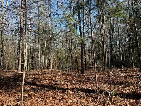 Undisclosed, Warne, NC 28909 photo 15