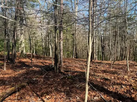 Undisclosed, Warne, NC 28909 photo 14
