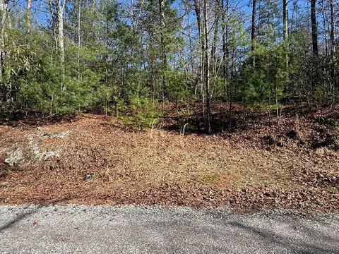 Undisclosed, Warne, NC 28909 photo 4