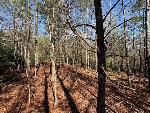 Undisclosed, Warne, NC 28909 photo 13