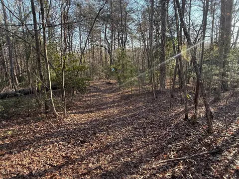 Undisclosed, Warne, NC 28909 photo 10