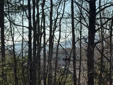 Undisclosed, Warne, NC 28909 photo 11