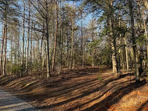 Undisclosed, Warne, NC 28909 photo 5