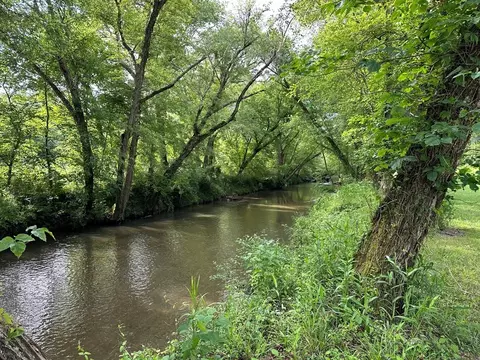 Undisclosed, Warne, NC 28909 photo 13