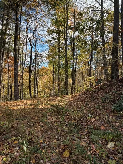 4748 Little Secret Ln, Murphy, NC 28906