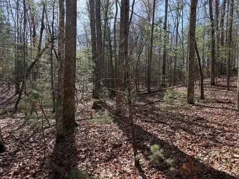 1156 Liberty Rd, Murphy, NC 28906 photo 6