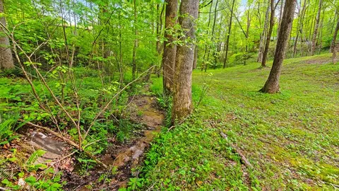 Exterior - 118 Ringtail Run, Murphy, NC 28906 photo 14 of 16