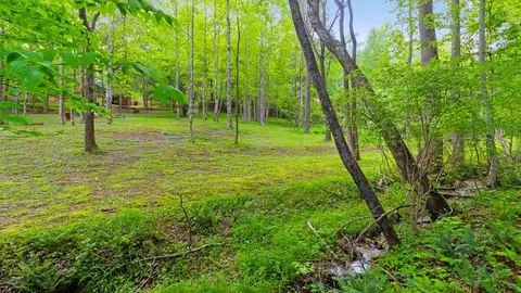 Exterior - 118 Ringtail Run, Murphy, NC 28906 photo 15 of 16