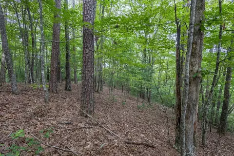 lot26 Persimmon Rd, Murphy, NC 28906 photo 6