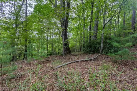 lot26 Persimmon Rd, Murphy, NC 28906 photo 8