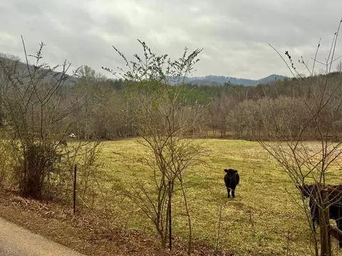 3754 Highway 68 S, Turtletown, TN 37391