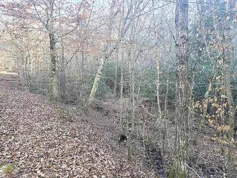 00 Hillside Dr, Warne, NC 28909 photo 45