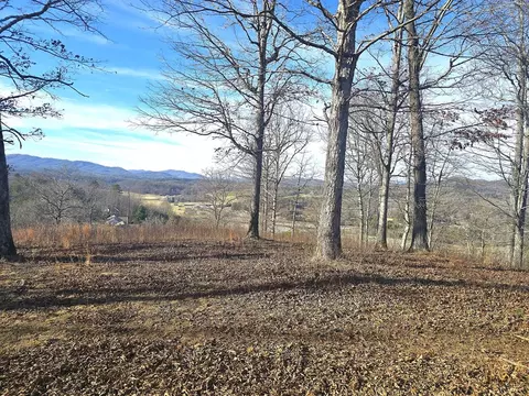 00 Hillside Dr, Warne, NC 28909 photo 27