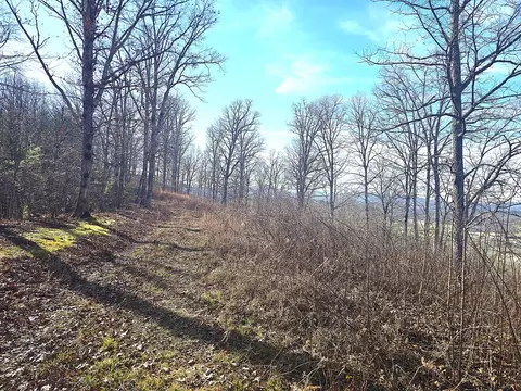 00 Hillside Dr, Warne, NC 28909 photo 14