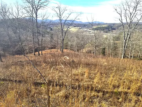 00 Hillside Dr, Warne, NC 28909 photo 7