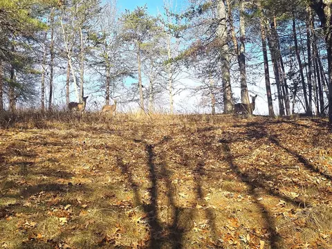 00 Hillside Dr, Warne, NC 28909 photo 41