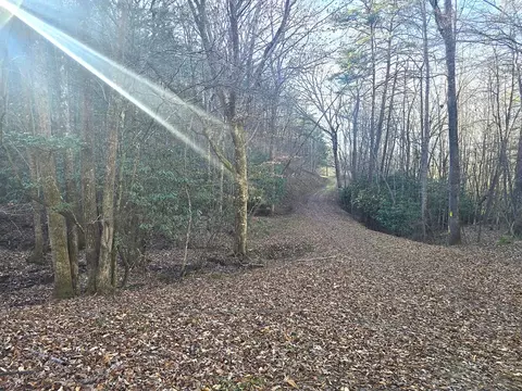 00 Hillside Dr, Warne, NC 28909 photo 42