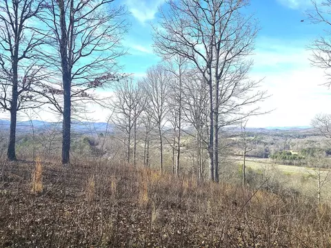 00 Hillside Dr, Warne, NC 28909 photo 16