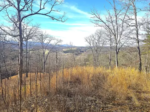 00 Hillside Dr, Warne, NC 28909 photo 10