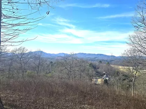 00 Hillside Dr, Warne, NC 28909