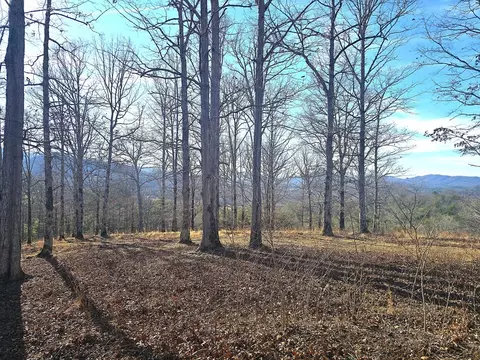00 Hillside Dr, Warne, NC 28909 photo 25