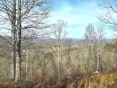 00 Hillside Dr, Warne, NC 28909 photo 29
